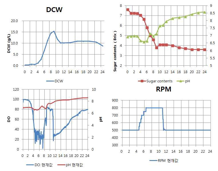 Fig. 12. Bacillus subtilis SJ-30의 5 L jar fermentor 회분배양 결과