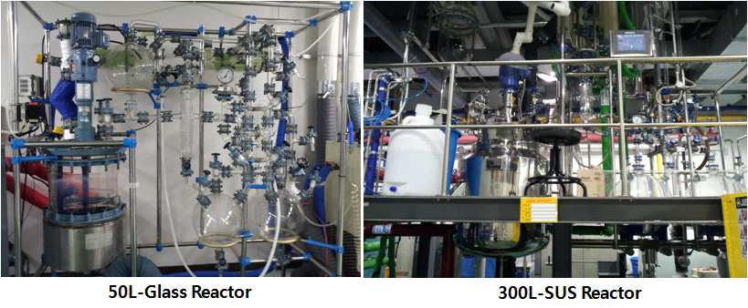 그림 15. Pilot 합성반응기 (한국화학연구원)