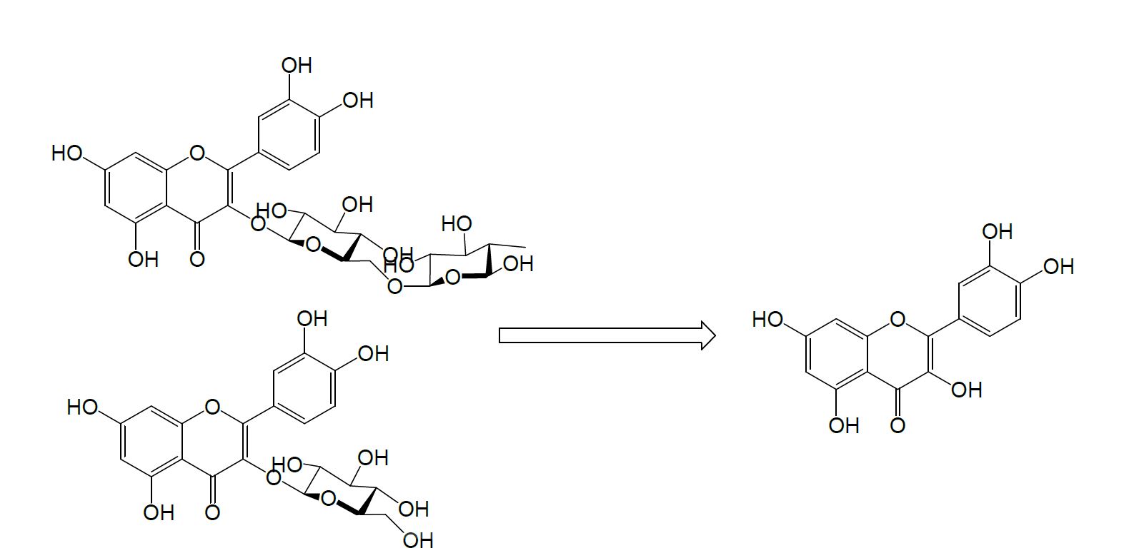 Fig 11. rutin & Isoqucercetin의 qucercetin으로의 전환