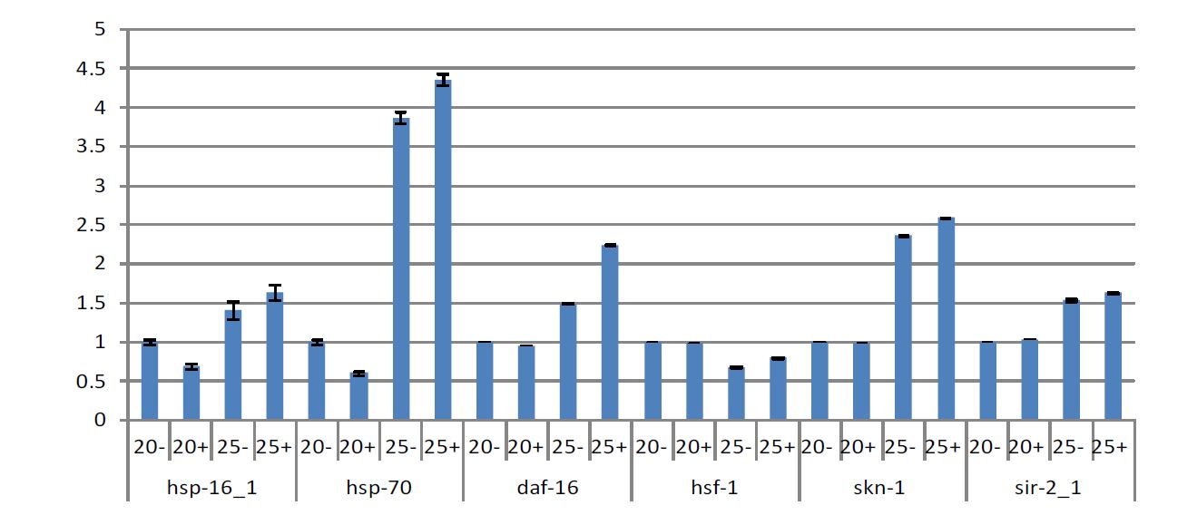 Fig. 11. Relative mRNA levels of hsp-70 and daf-16 C. elegans fed withfermentativ zjf (F-200).