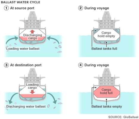 Cargo와 선박의 운항 상황에 따른 Ballast water cycle