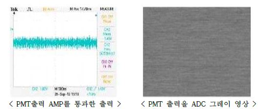 PMT 출력신호와 영상