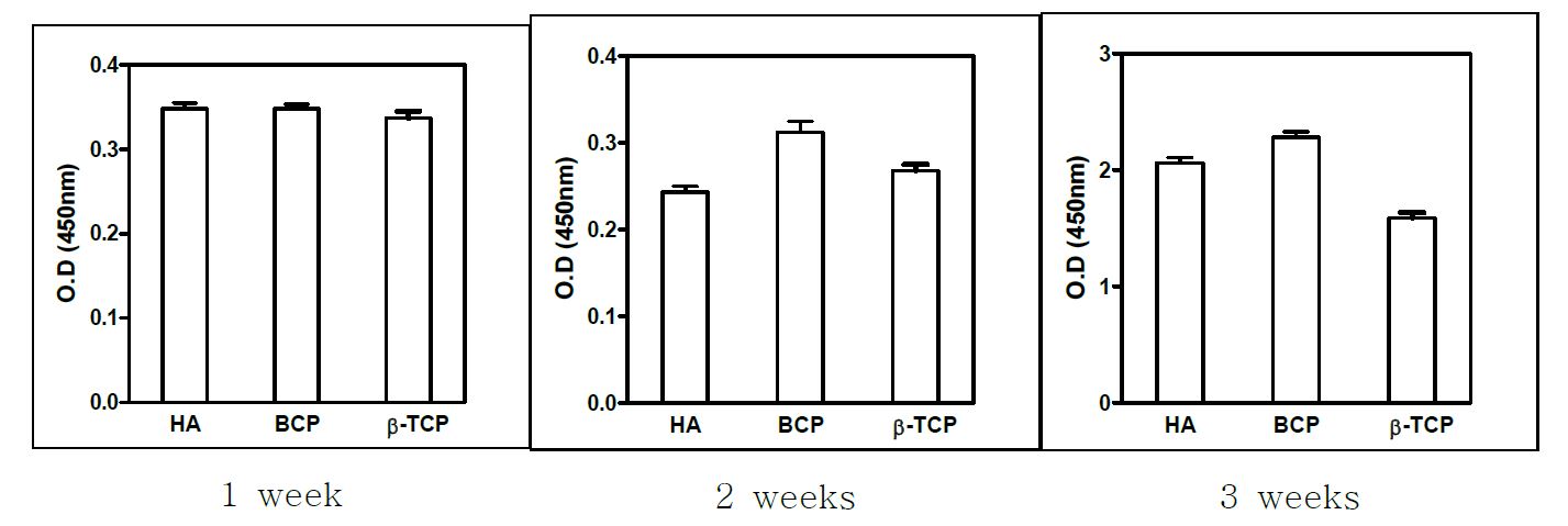 그림5. Cell viability of Human bone marrow stromal cells for 1, 2, and 3 weeks