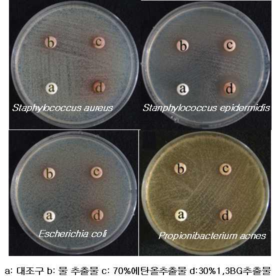 그림 15. 산딸기 추출물별 항균활성 측정 결과