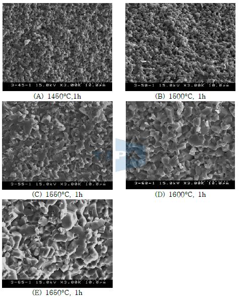 그림 29. 소결 온도에 따른 미세구조