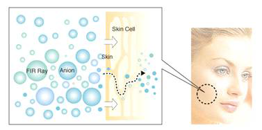 음이온의 피부속 침투 과정