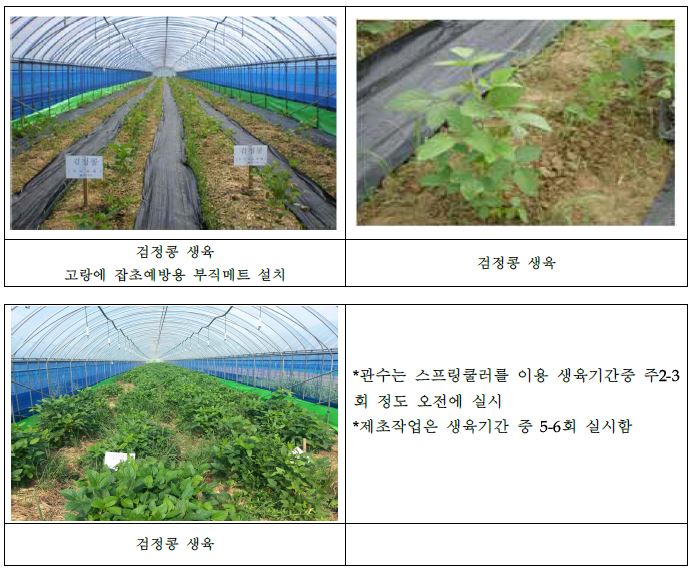 그림 3. 검정콩 재배 조건 확립 과정 모습 (학사농장)
