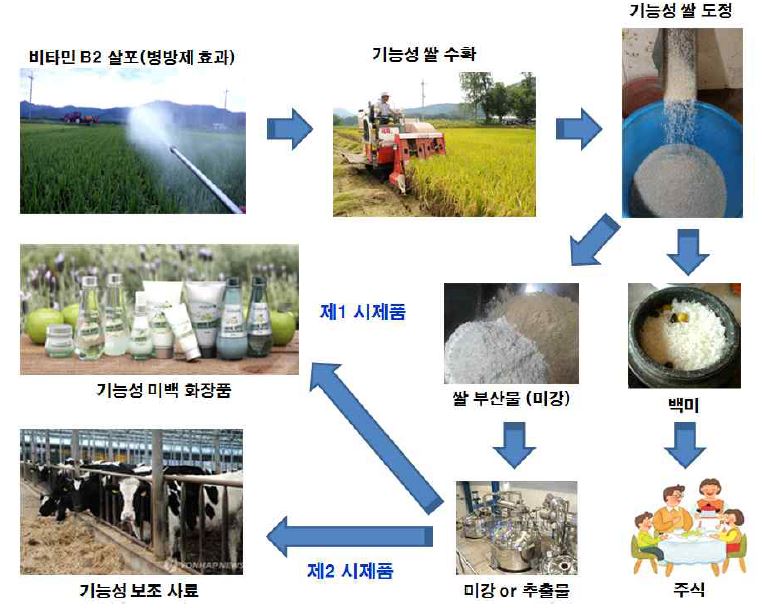 Fig. 1 개발 기술의 개요