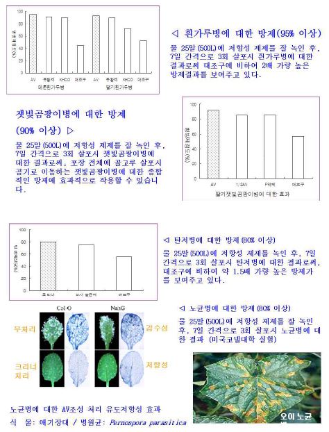 Fig. 3 리보플라빈이 함유된 저항성 유도제제에 대한 방제 효과