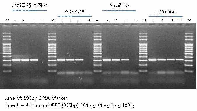 그림 7. 단백질 안정화제 PEG-4000, ficoll 70 그리고 L-Proline의 첨가 시 효과 실험.