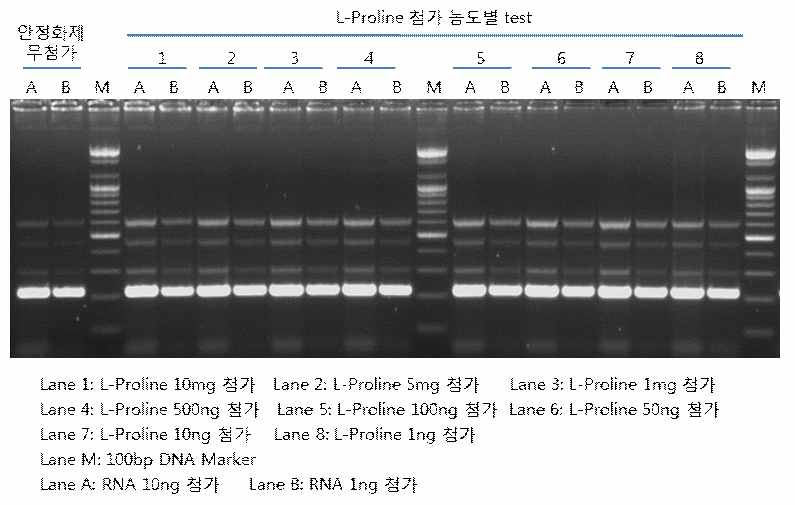 그림 8. 단백질 안정화제 L-Proline 첨가 농도별 실험.