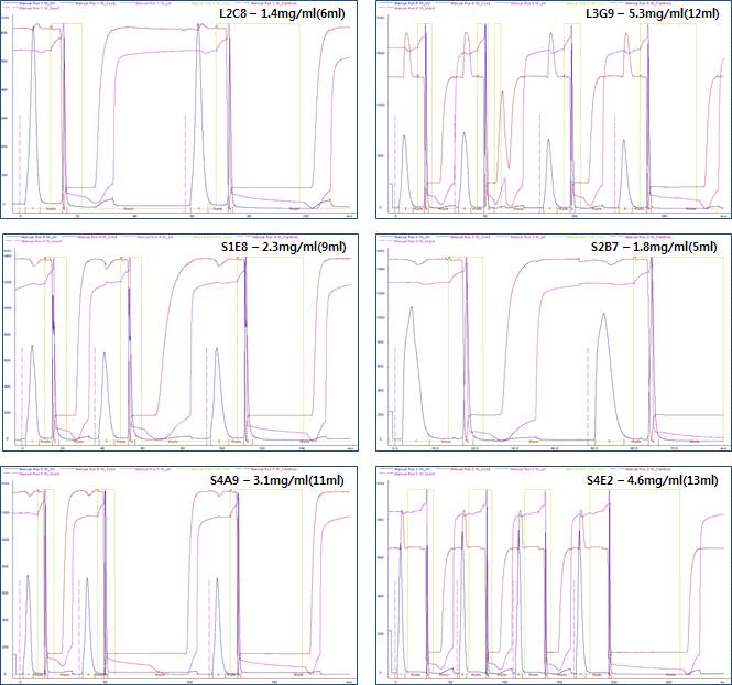 확립된 6종의 Cell LIne 에서 생산된 항체의 정제 FPLC Data