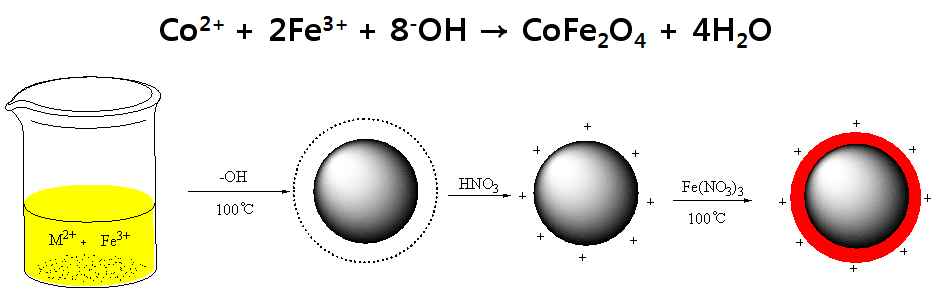 공침법을 이용한 자성나노입자의 합성 공정도