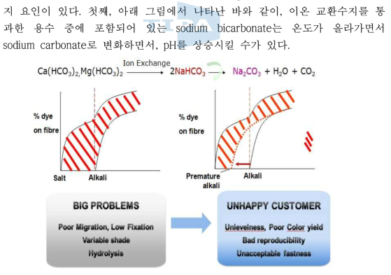 Sodium bicarbonate의 형성에 의한 pH 상승과 불균염 발생