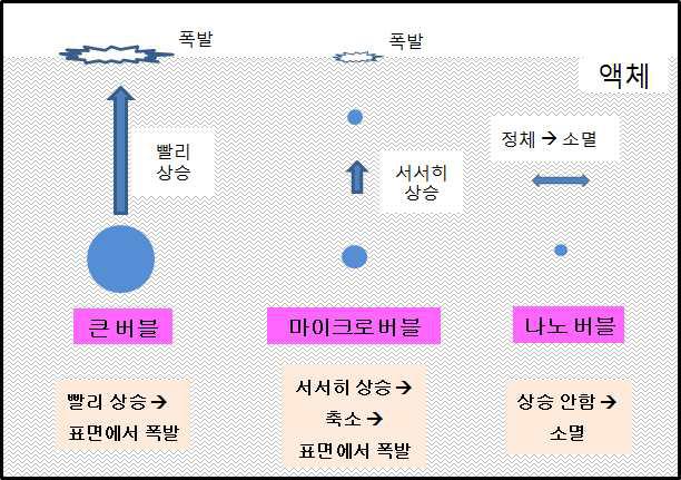 버블의 크기에 따른 특성