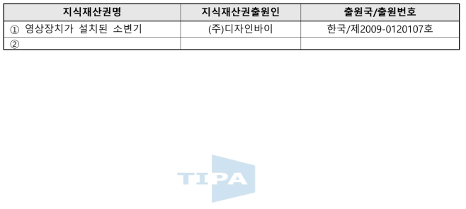 국내외 관련지식재산권 현황