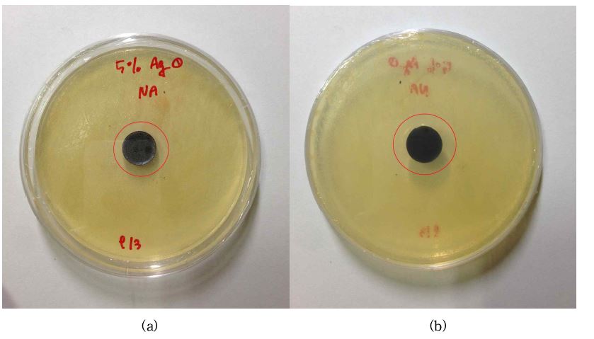 그림 35. 은 5wt% 첨착 활성탄의 황색포도상구균에 대한 항균검사