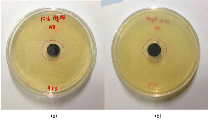 그림 38. 은 15wt% 첨착 활성탄의 황색포도상구균에 대한 항균검사