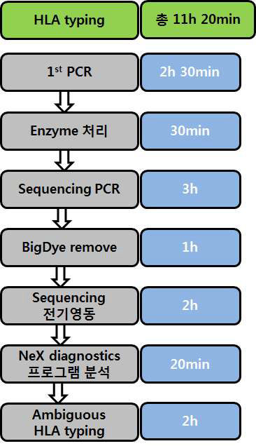 그림 2) 고해상도 HLA 대립유전자 형별 검사 flow chart