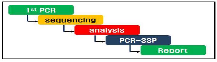 그림 1) HLA PCR-SBT & PCR-SSP Kit를 이용한 HLA 대립유전자 형별 모식도