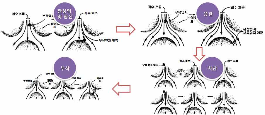 바이오칩 필터 메카니즘