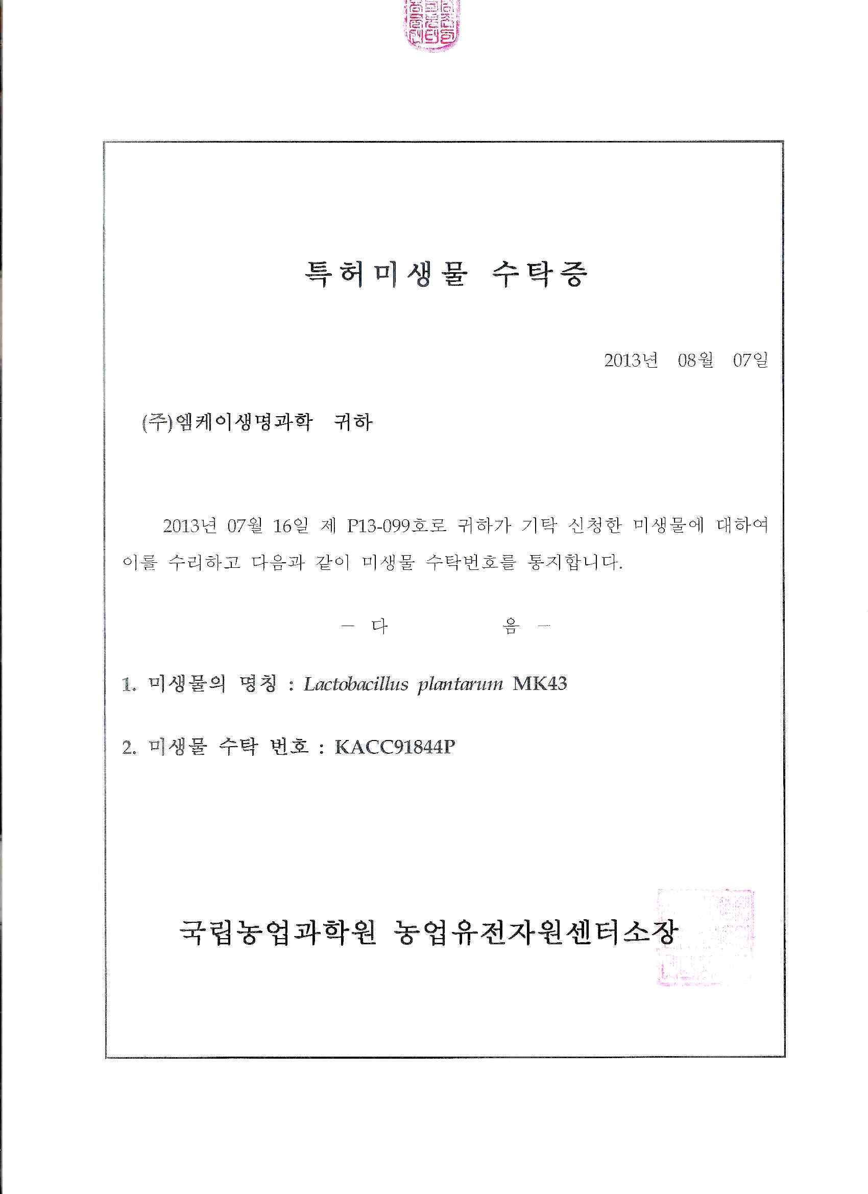 선발균주 Lactobacillus plantarum MK43의 균주기탁 증명서