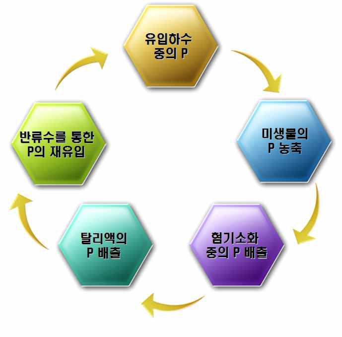 하수 처리 시스템에서 인의 농축.