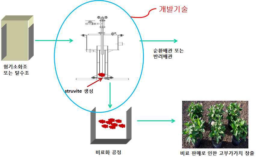 Struvite의 재활용.