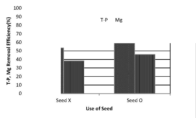 Seed 주입 유 무에 따른 제거율(pH 9 + seed).