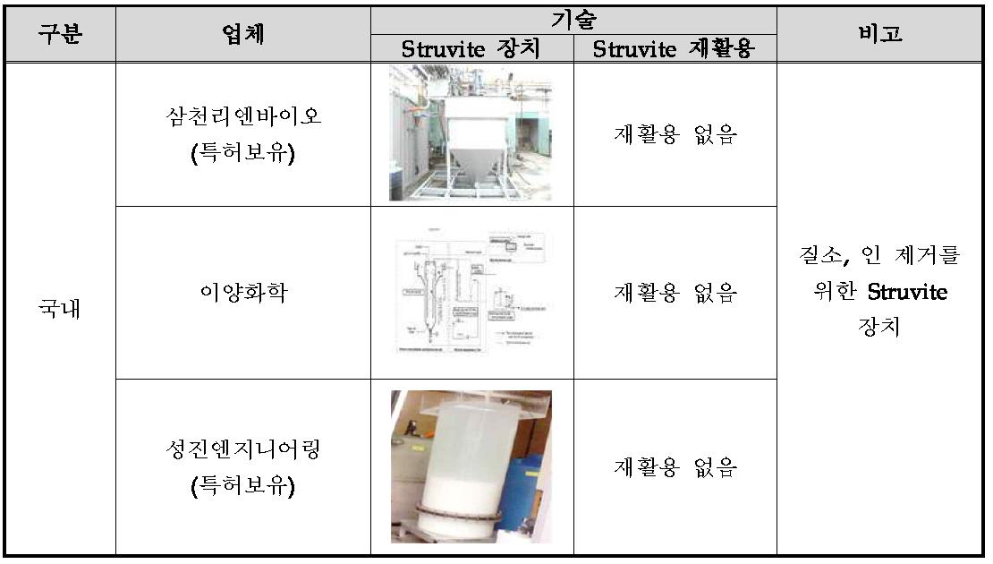 국내 Struvite 기술 현황