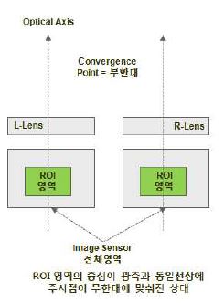 그림4. 평행축방식에서 ROI에 의한 전자적 주시각 제어방법(주시점 : 무한대)
