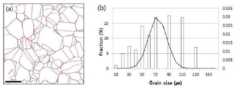 그림 14. 1100℃에서 열간 압연 된 Ni-20Cr 합금의 (a) grain boundary map, (b) grainsize 분포와 (c) grain boundary misorientation angle 분포.