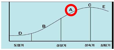 기술수명 주기상의 위치