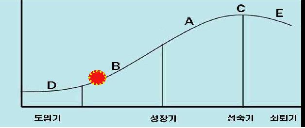 개발기술 수명주기