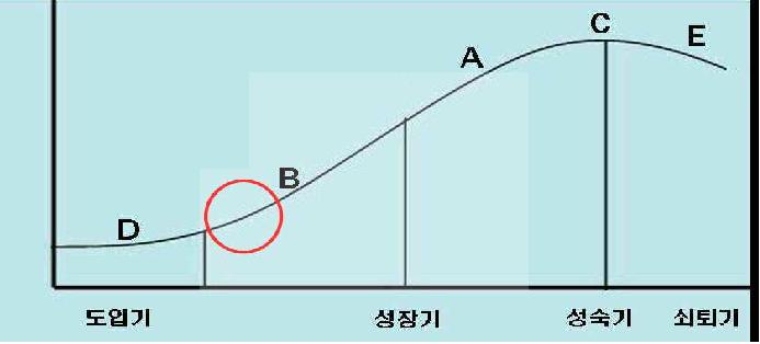 신청기술의 기술수명주기상 위치