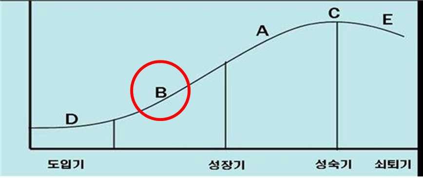 신청기술의 기술수명주기상 위치