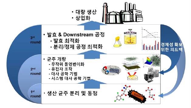 산업미생물을 이용한 바이오기반 공정의 프로세스