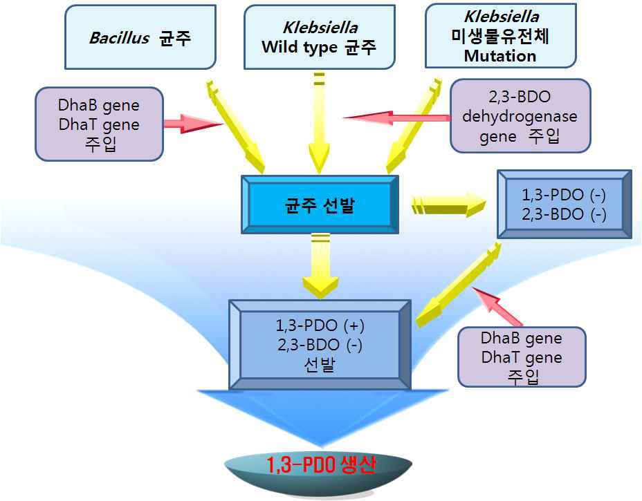 기획지원 대상기술의 기술적인 블록도