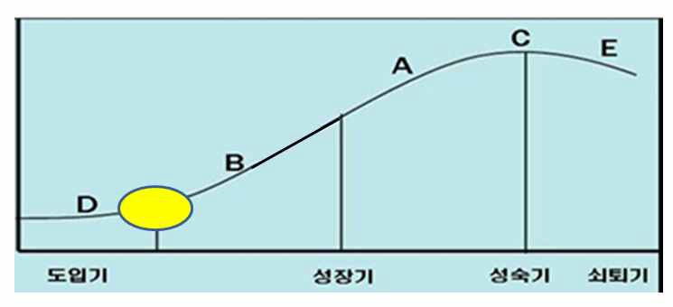 신청기술의 기술수명주기상 위치