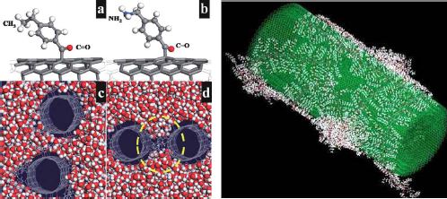 탄소나노튜브 표면에 기능화기가 부착되어진 시뮬레이션