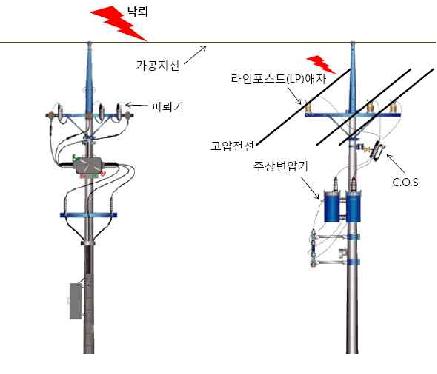 현재 배전선로의 낙뢰 보호설비 시스템