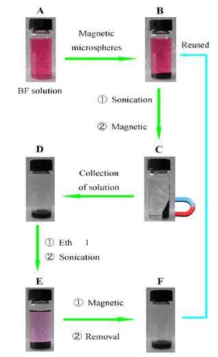 Basic Fuchsin에 대한 magnetite의 흡착 및 탈착특성 연구사례