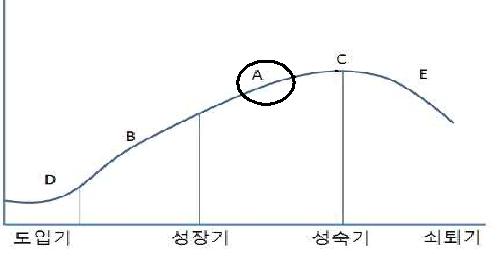 신청기술의 기술수명주기상 위치