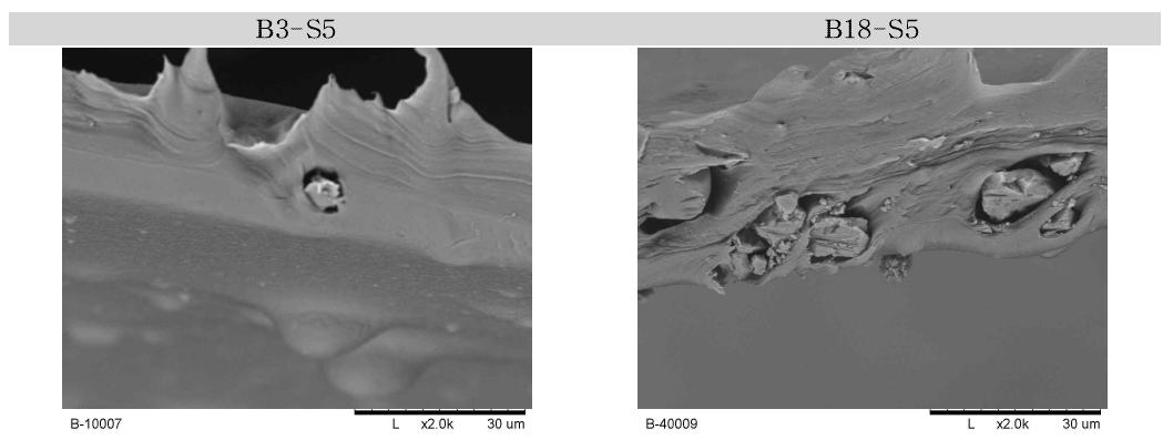 Bio M/B 함량에 따른 LDPE/Bio M/B 블랜드 필름의 SEM Image(2000X magnification)