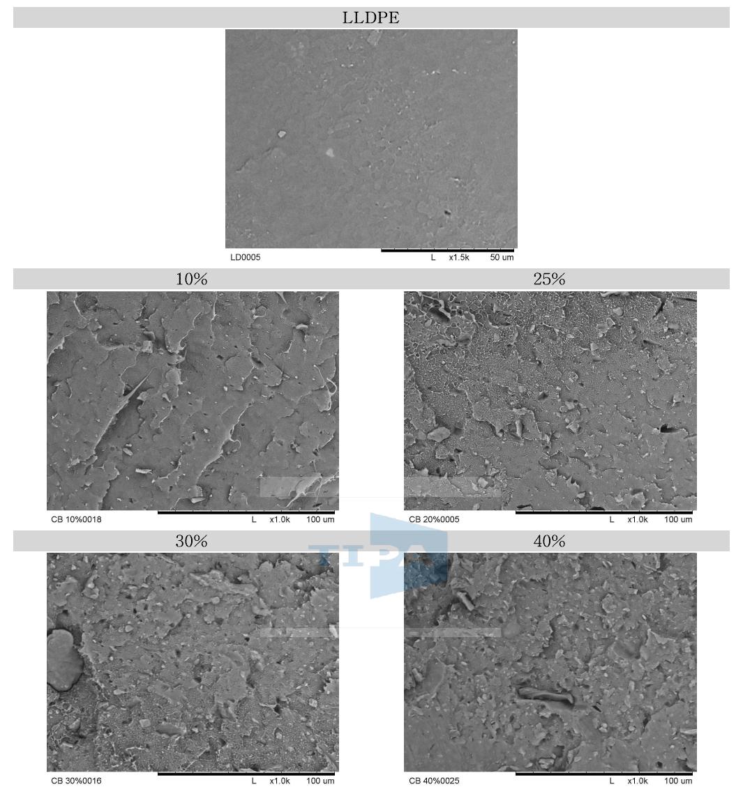 옥심펠릿을 이용한 시트의 SEM Image(X1,000 Magnification)