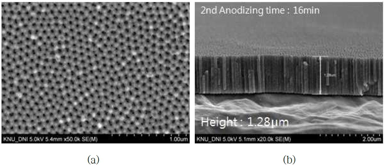 그림16. AAO template의 표면모양 및 양극산화막 높이측정 SEM 사진