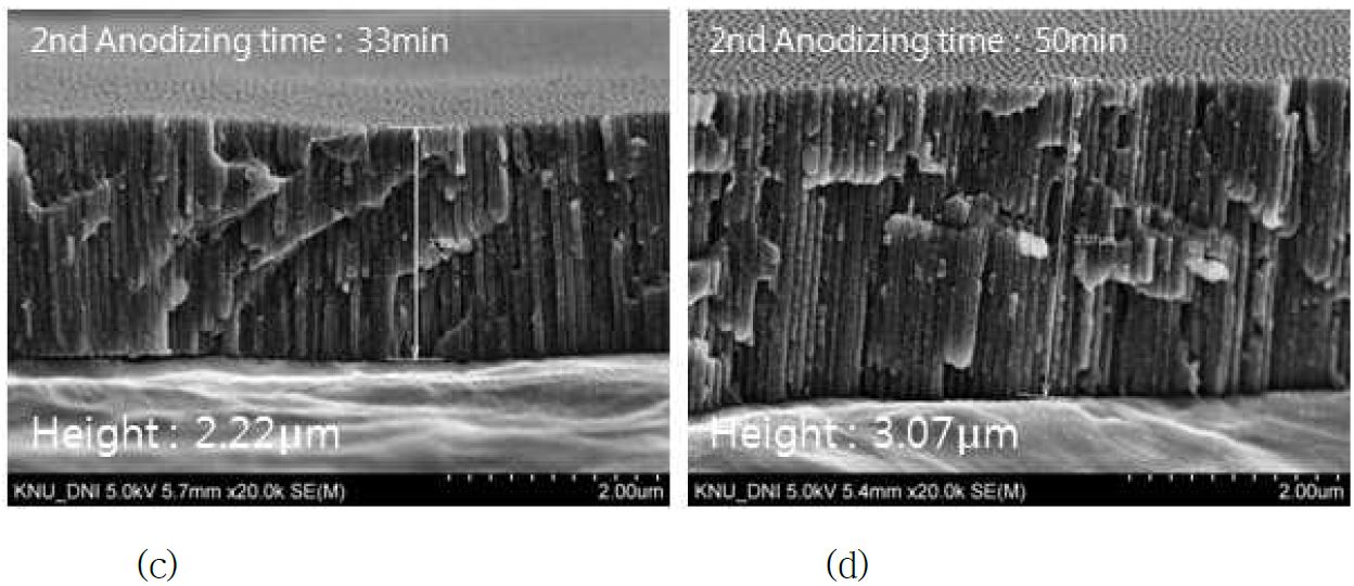 그림16. AAO template의 표면모양 및 양극산화막 높이측정 SEM 사진