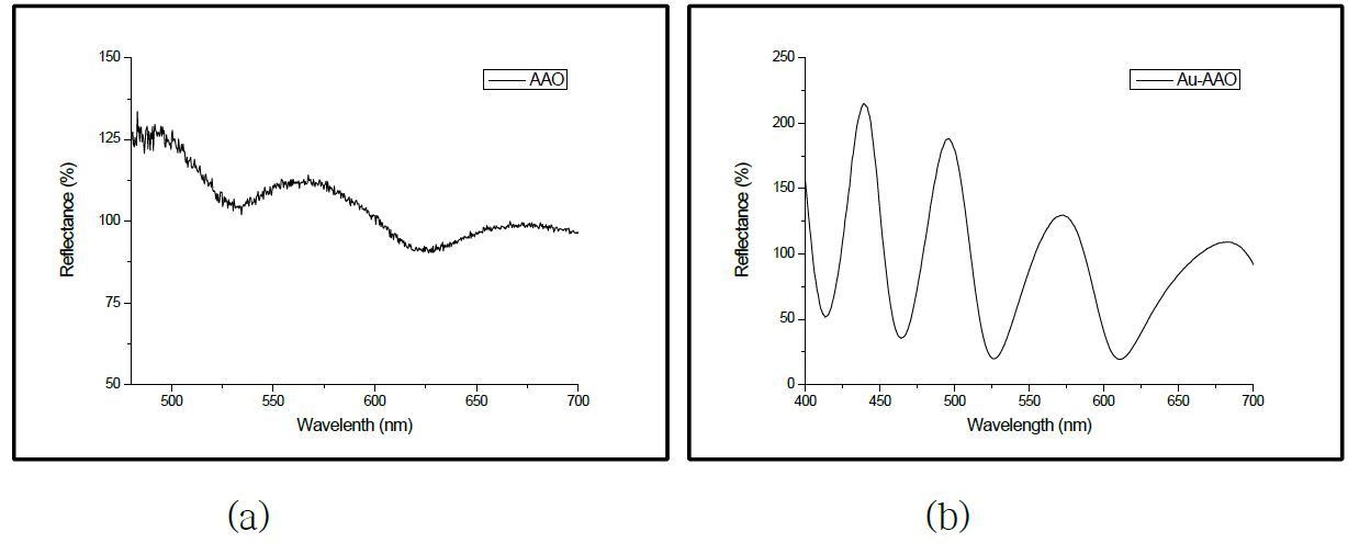 그림18. AAO template과 Au-AAO template의 반사율 그래프