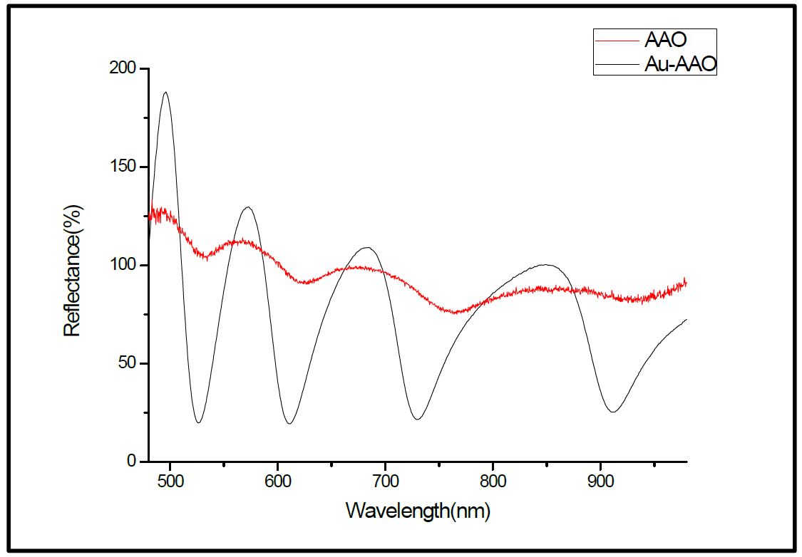 그림19. AAO template과 Au-AAO template의 반사율 비교 그래프