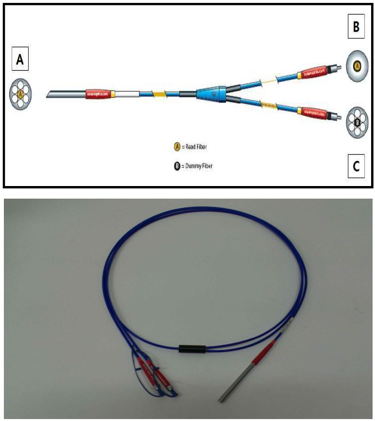 그림32 “Y” 형태의 optical probe 모식도 (上) 및 제품사진 (下)
